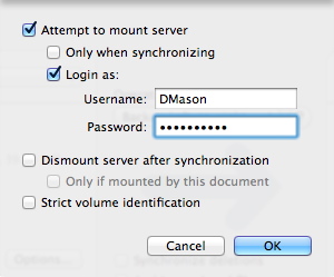 Options when mounting a server server mounting options