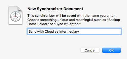 New Synchronizer Document Name your sync document
