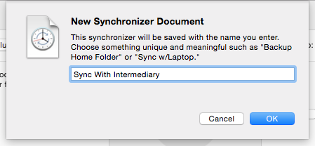 New Synchronizer Document Name your sync document